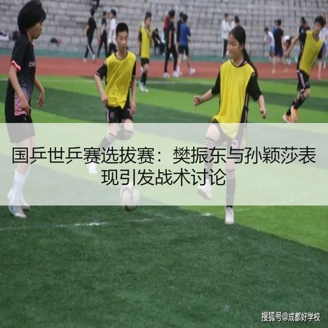 国乒世乒赛选拔赛:樊振东与孙颖莎表现引发战术讨论